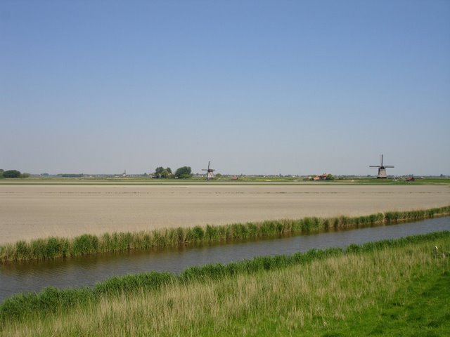 Hollande_2008 (26).JPG